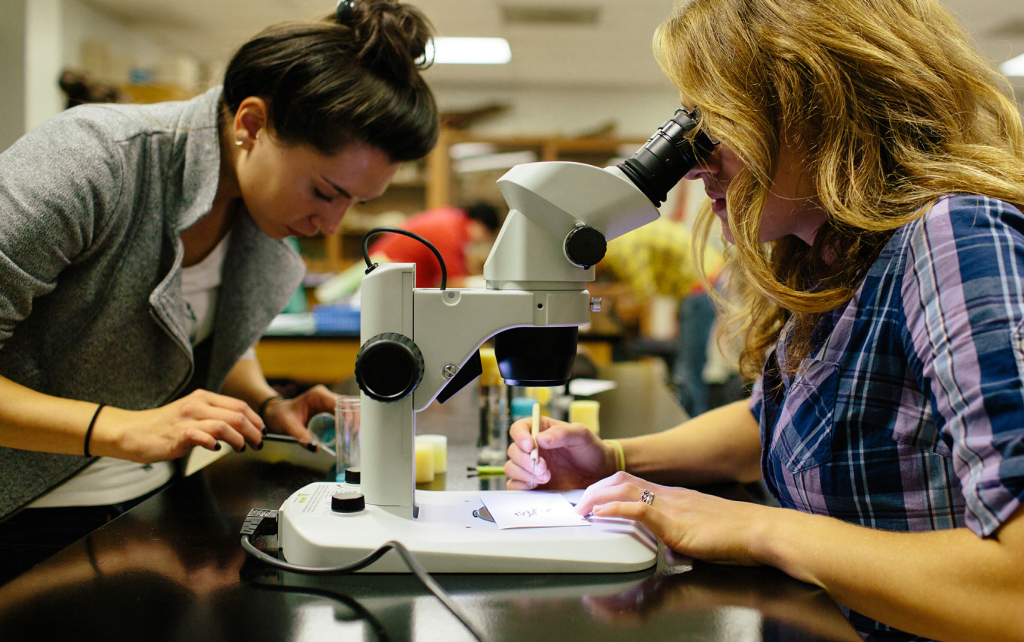 Biology students at a microscope